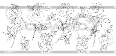 Blühende Rosen Set Schwarz und weiß | Stock Vektorgrafik |ID 7631432