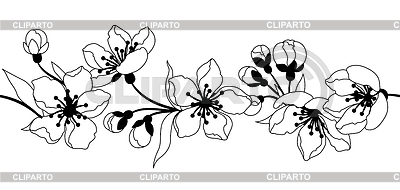 Muster mit Frühlingsblumen. Apfel, Kirschblüte oder Kirsche | Stock Vektorgrafik |ID 7645842