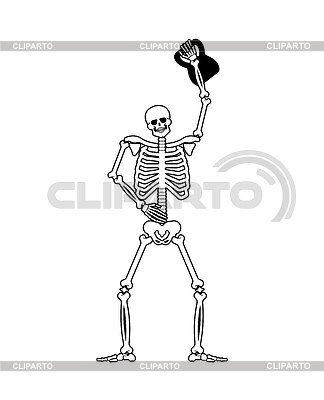 Esqueleto y peso. Skull and bones y deporte. | Ilustración vectorial de stock |ID 7617626