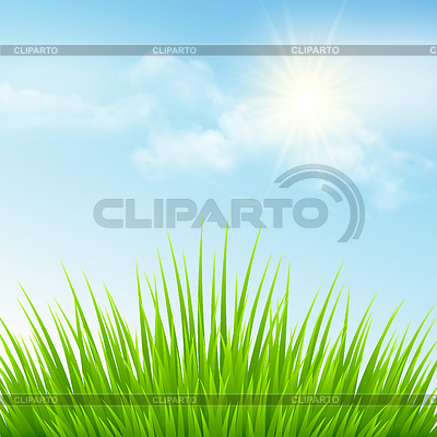 Green grass and blue sky | Stock Vector Graphics |ID 5123101