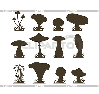 Setas establecen diferentes tipos | Ilustración vectorial de stock |ID 5714257