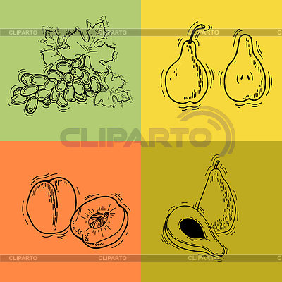 Früchte | Stock Vektorgrafik |ID 5666766