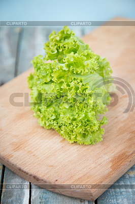 Lechuga | Foto de alta resolución |ID 5416946