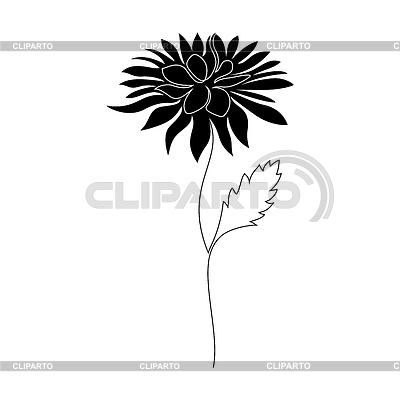 Flor de crisantemo | Ilustración vectorial de stock |ID 7290427