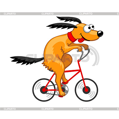 Hund fährt Fahrrad | Stock Vektorgrafik |ID 6045332