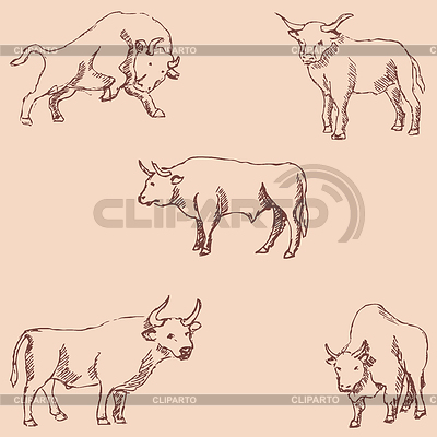 Toro. Lápiz de dibujo. Dibujo a mano. Colores vintage | Ilustración vectorial de stock |ID 7350201